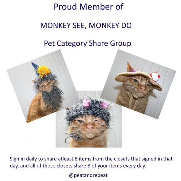 Monday 12-23-2024 Dog Cat Small Animal Pet Category Share Discussion Topic - Picture 2 of 6